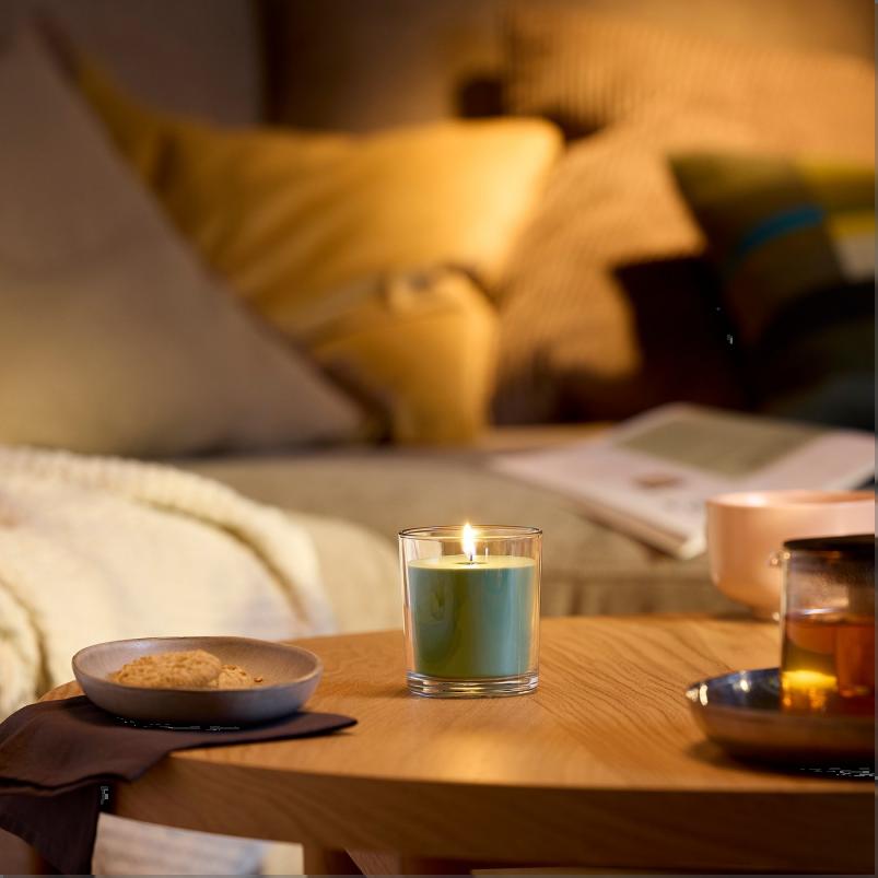 LOTSFÅGEL ロッツフォーゲル アロマキャンドル グラス入り - イチジクの葉 グリーン 40 時間