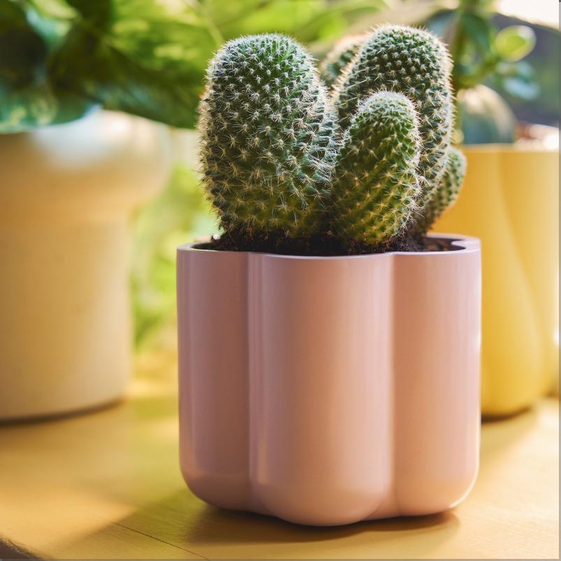 DOFTRIPS ドフトリプス 鉢カバー - ライトピンク 9cm