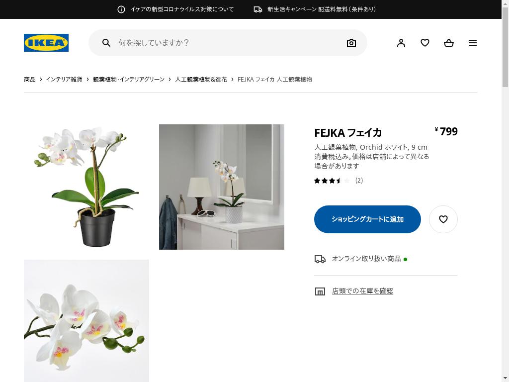 FEJKA フェイカ 人工観葉植物 - ORCHID ホワイト 9 CM