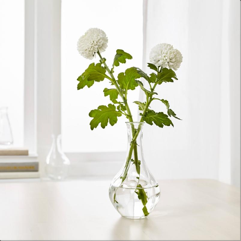 VILJESTARK ヴィリエスタルク 花瓶 - クリアガラス 17cm