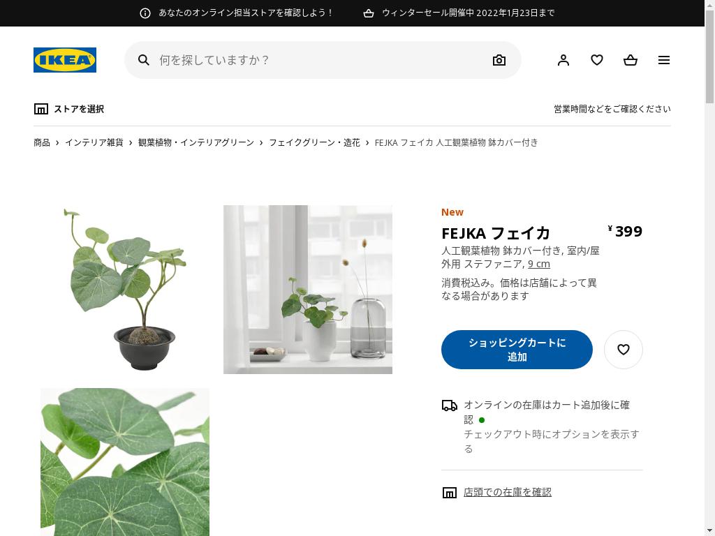 FEJKA フェイカ 人工観葉植物 鉢カバー付き - 室内/屋外用 ステファニア 9 CM