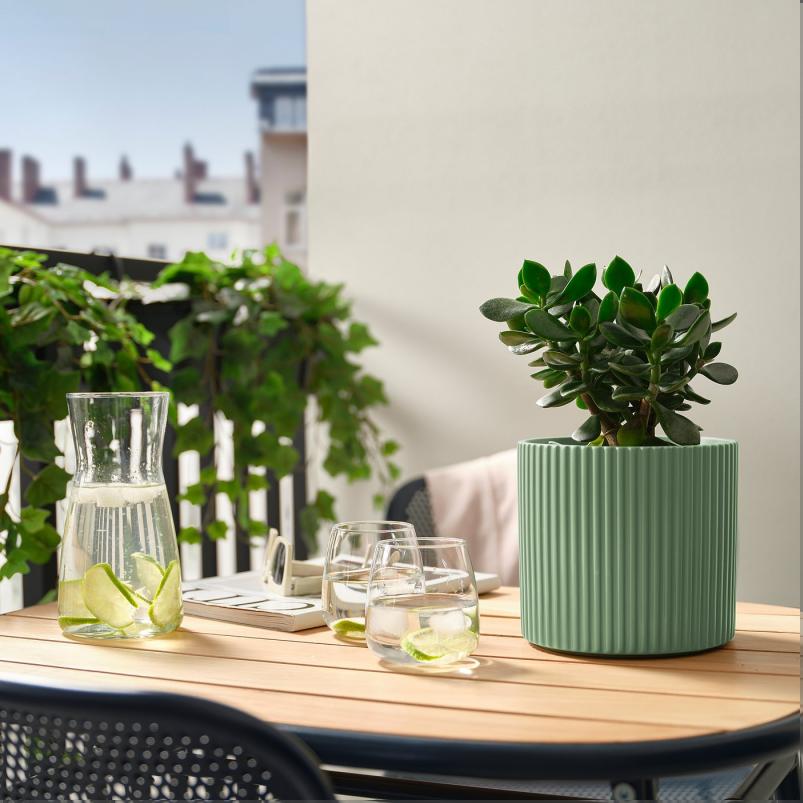 DAKSJUS ダクシュース 植木鉢 - ライトグリーン 15cm