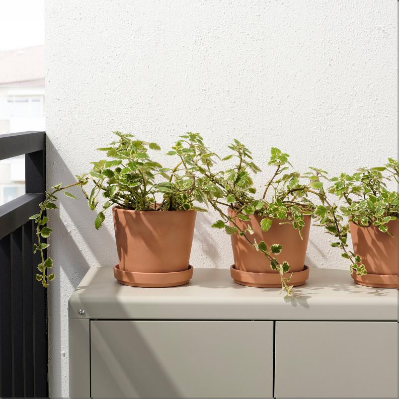 BRUNBAR ブルンベール 植木鉢 受け皿付き - 屋外用 テラコッタ 15cm