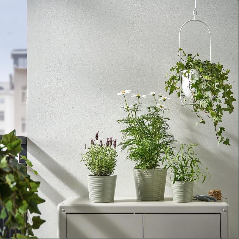 BROKSPIREA ブロークスピレア 鉢カバー - ライトグリーン 12cm