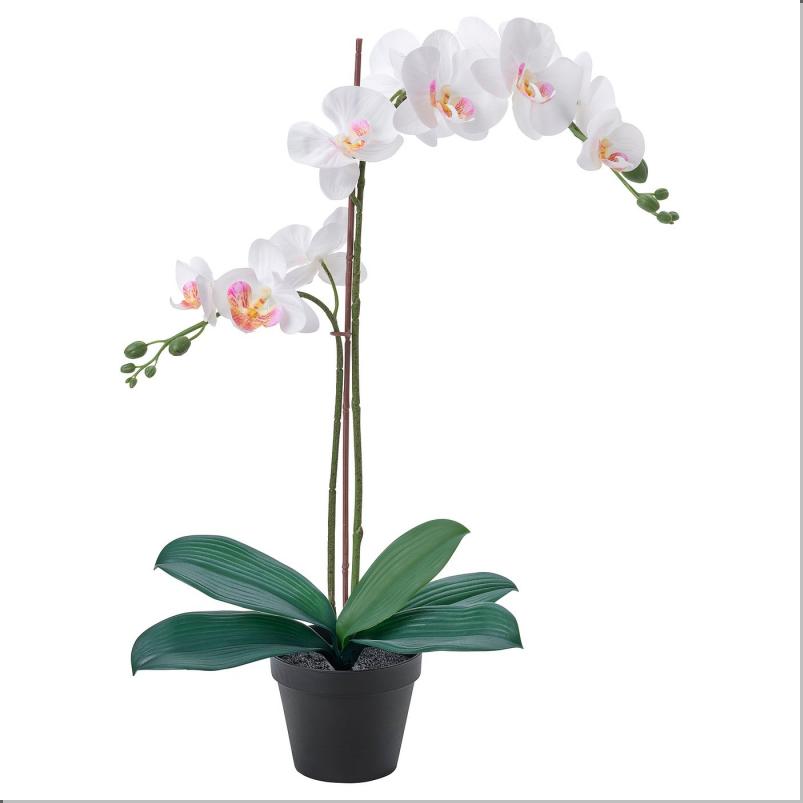 FEJKA フェイカ 人工観葉植物 - Orchid ホワイト 12cm