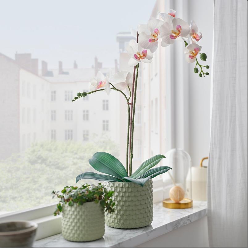 FEJKA フェイカ 人工観葉植物 - Orchid ホワイト 12cm