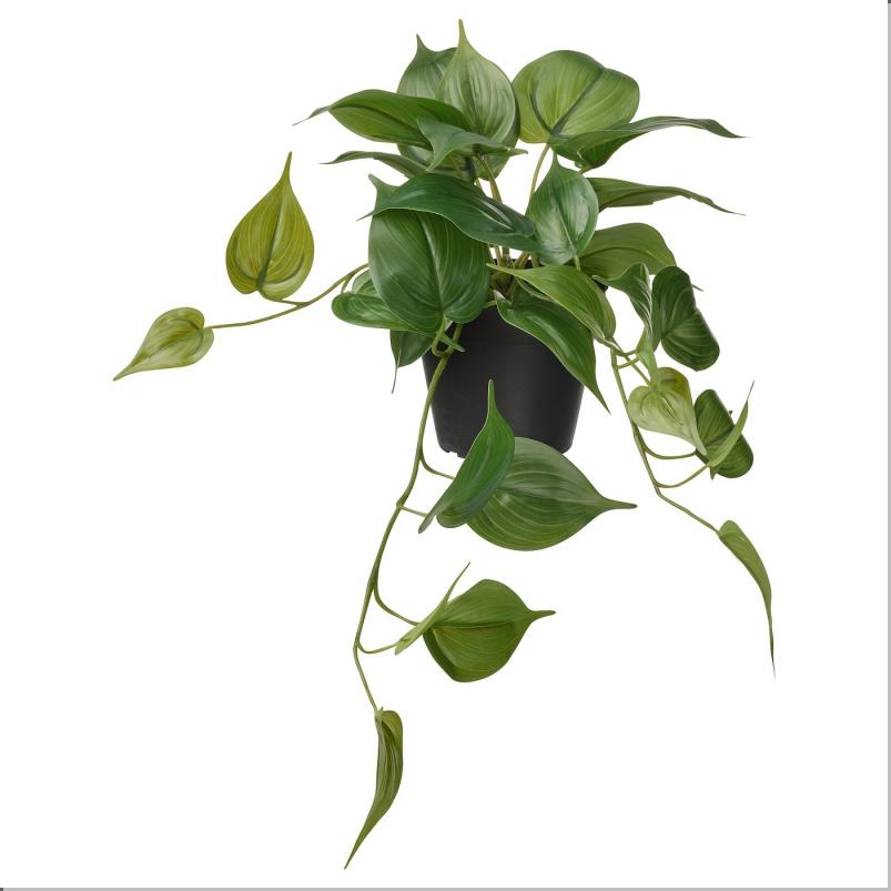 FEJKA フェイカ 人工観葉植物 - 室内/屋外用 ポトス/つり下げ型 12cm