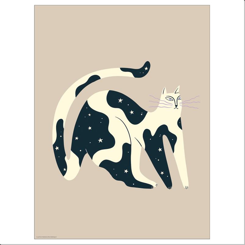 BILD ビルド ポスター - 夜のネコ 30x40cm