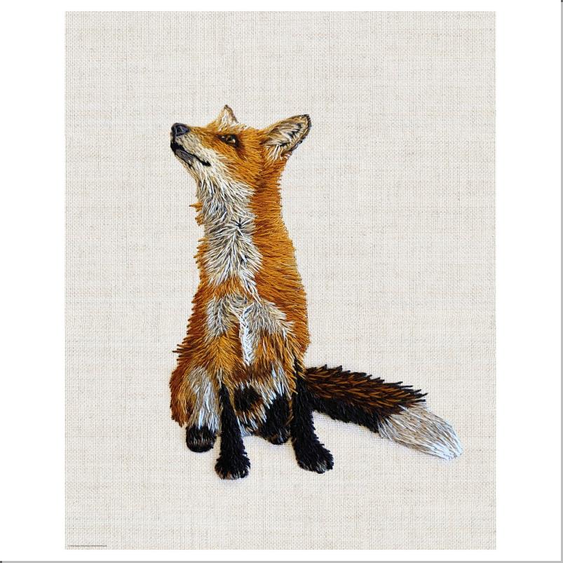 BILD ビルド ポスター - ふわふわのキツネ 40x50cm